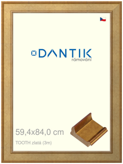 DANTIK rám na obraz 59,4x84 | TOOTH zlatá (Plexi Čiré)
