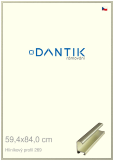 DANTIK rám na obraz 59,4x84 | ALU Šedá Pyrit broušená (Plexi Čiré)