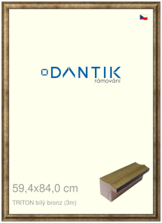 DANTIK rám na obraz 59,4x84 | TRITON bílý bronz (Plexi Čiré)