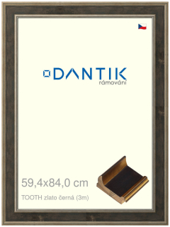 DANTIK rám na obraz 59,4x84 | TOOTH zlato černá (Plexi Čiré)