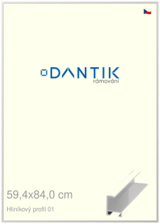 DANTIK rám na obraz 59,4x84 | ALU Stříbrná lesklá (Plexi Čiré)