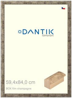 DANTIK rám na obraz 59,4x84 | BOX film champagne (Plexi Čiré)