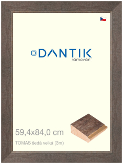 DANTIK rám na obraz 59,4x84 | TOMAS šedá velká (Plexi Čiré)