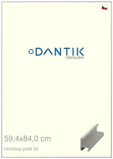 DANTIK rám na obraz 59,4x84 | ALU Stříbrná matná (Plexi Čiré)