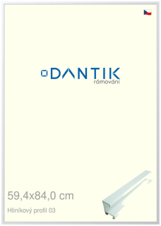 DANTIK rám na obraz 59,4x84 | ALU Bílá matná (Plexi Čiré)