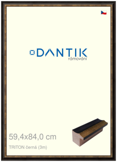 DANTIK rám na obraz 59,4x84 | TRITON černá (Plexi Čiré)