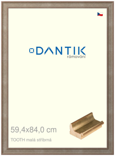 DANTIK rám na obraz 59,4x84 | TOOTH malá stříbrná (Plexi Čiré)