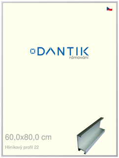 DANTIK rám na obraz 60x80 | ALU Stříbrná matná (Plexi Čiré)