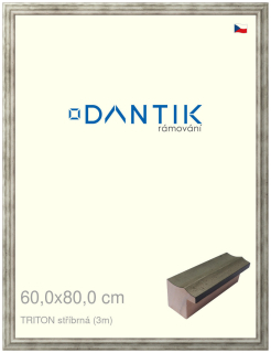 DANTIK rám na obraz 60x80 | TRITON stříbrná (Plexi Čiré)