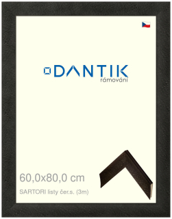 DANTIK rám na obraz 60x80 | SARTORI listy čer.s. (Plexi Čiré)
