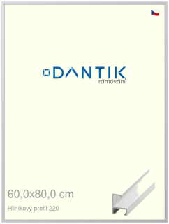 DANTIK rám na obraz 60x80 | ALU Bílá matná (Plexi Čiré)