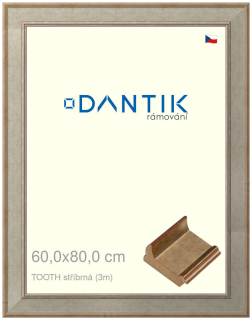 DANTIK rám na obraz 60x80 | TOOTH stříbrná (Plexi Čiré)