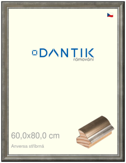DANTIK rám na obraz 60x80 | ANIVERSA stříbrná (Plexi Čiré)