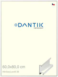 DANTIK rám na obraz 60x80 | ALU Dýha bílá (Plexi Čiré)