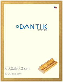 DANTIK rám na obraz 60x80 | LYON zlatá (Plexi Čiré)