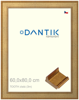 DANTIK rám na obraz 60x80 | TOOTH zlatá (Plexi Čiré)