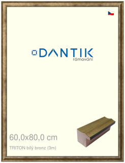 DANTIK rám na obraz 60x80 | TRITON bílý bronz (Plexi Čiré)