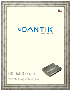 DANTIK rám na obraz 60x80 | TRITON široký stříbrný (Plexi Čiré)