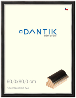 DANTIK rám na obraz 60x80 | ANIVERSA černá AG (Plexi Čiré)