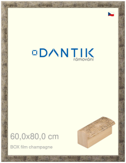 DANTIK rám na obraz 60x80 | BOX film champagne (Plexi Čiré)