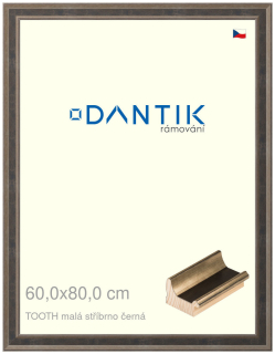 DANTIK rám na obraz 60x80 | TOOTH malá stříbrno černá (Plexi Čiré)