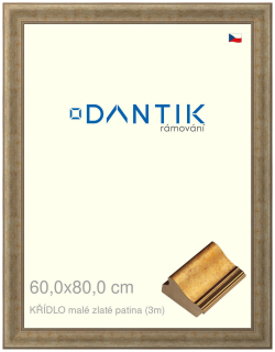 DANTIK rám na obraz 60x80 | KŘÍDLO malé zlaté patina (Plexi Čiré)