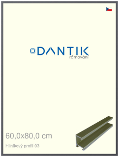 DANTIK rám na obraz 60x80 | ALU Platina matná (Plexi Čiré)