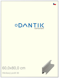 DANTIK rám na obraz 60x80 | ALU Stříbrná matná (Plexi Čiré)