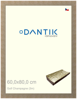 DANTIK rám na obraz 60x80 | Golf champagne (Plexi Čiré)