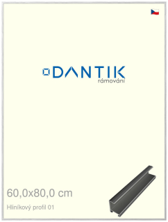 DANTIK rám na obraz 60x80 | ALU Stříbrná lesklá (Plexi Čiré)