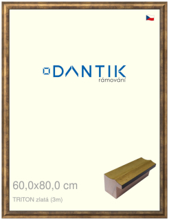 DANTIK rám na obraz 60x80 | TRITON zlatá (Plexi Čiré)