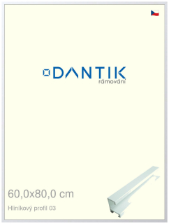 DANTIK rám na obraz 60x80 | ALU Bílá matná (Plexi Čiré)