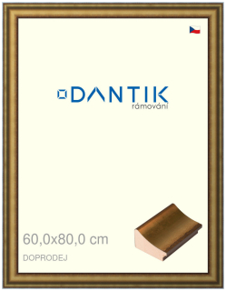 DANTIK rám na obraz 60x80 | Doprodej | METAL AU prohlá velká (Plexi Čiré)