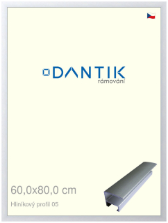 DANTIK rám na obraz 60x80 | ALU Stříbrná matná (Plexi Čiré)
