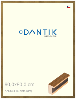 DANTIK rám na obraz 60x80 | KASSETTE zlatá (Plexi Čiré)