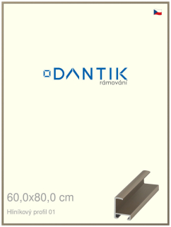 DANTIK rám na obraz 60x80 | ALU champagne (Plexi Čiré)