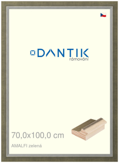 DANTIK rám na obraz 70x100 | AMALFI zelená (Plexi Čiré)