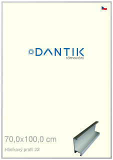 DANTIK rám na obraz 70x100 | ALU Stříbrná matná (Plexi Čiré)