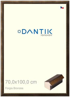 DANTIK rám na obraz 70x100 | Forgia Bronzea (Plexi Čiré)