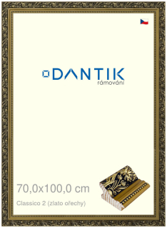 DANTIK rám na obraz 70x100 | Claico 2 (zlato ořechy) (Plexi Čiré)