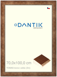DANTIK rám na obraz 70x100 | TOMAS bronz velká (Plexi Čiré)