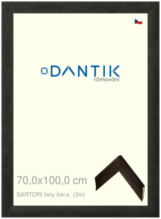 DANTIK rám na obraz 70x100 | SARTORI listy čer.s. (Plexi Čiré)
