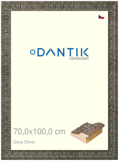 DANTIK rám na obraz 70x100 | Dora Silver (Plexi Čiré)