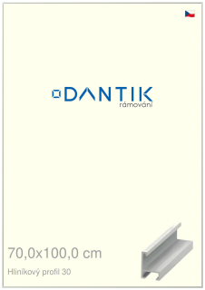 DANTIK rám na obraz 70x100 | ALU Bílá matná (Plexi Čiré)