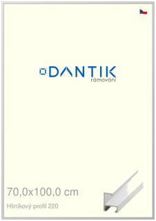 DANTIK rám na obraz 70x100 | ALU Bílá matná (Plexi Čiré)