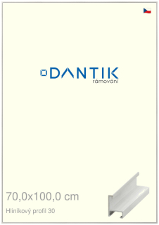 DANTIK rám na obraz 70x100 | ALU Dýha bílá (Plexi Čiré)
