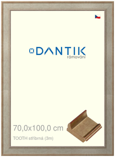 DANTIK rám na obraz 70x100 | TOOTH stříbrná (Plexi Čiré)