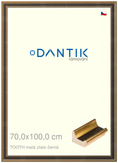 DANTIK rám na obraz 70x100 | TOOTH malá zlato černá (Plexi Čiré)