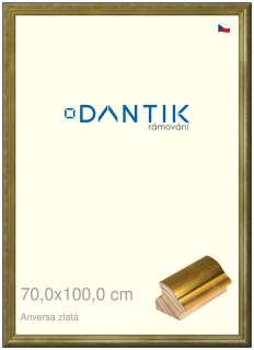 DANTIK rám na obraz 70x100 | ANIVERSA zlatá (Plexi Čiré)