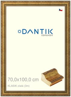 DANTIK rám na obraz 70x100 | KLASIK zlatá (Plexi Čiré)